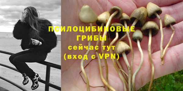 MDMA Premium VHQ Алзамай